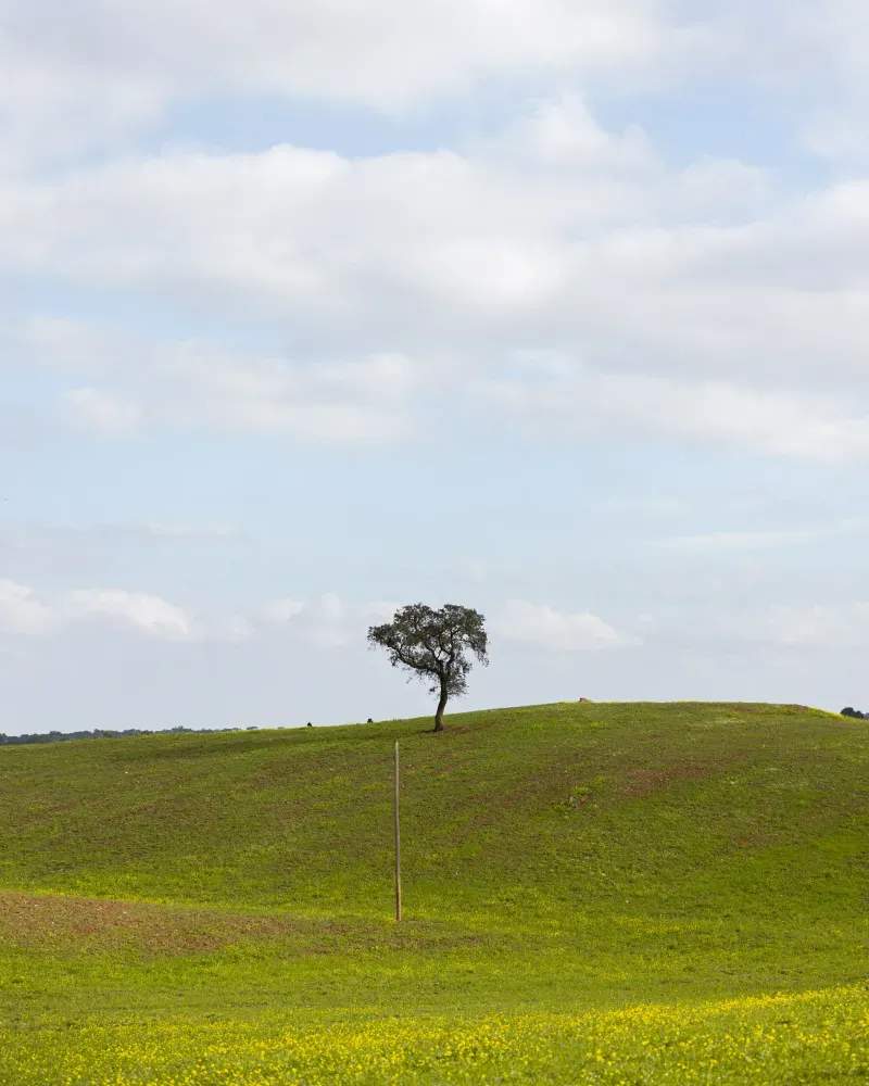 Cómo preparar tu campo para una temporada más productiva