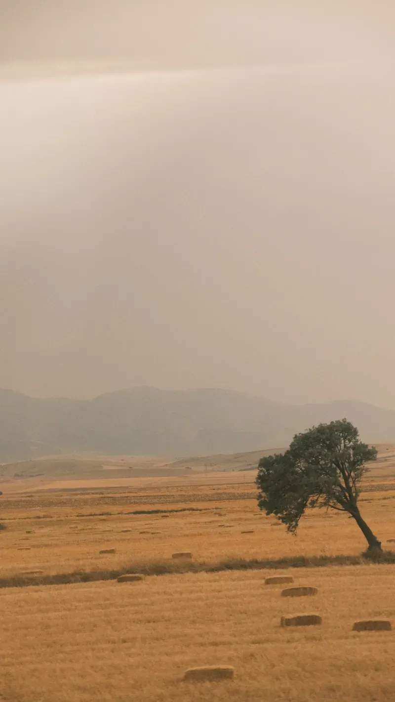 Servicios rurales pensados para el ritmo del campo